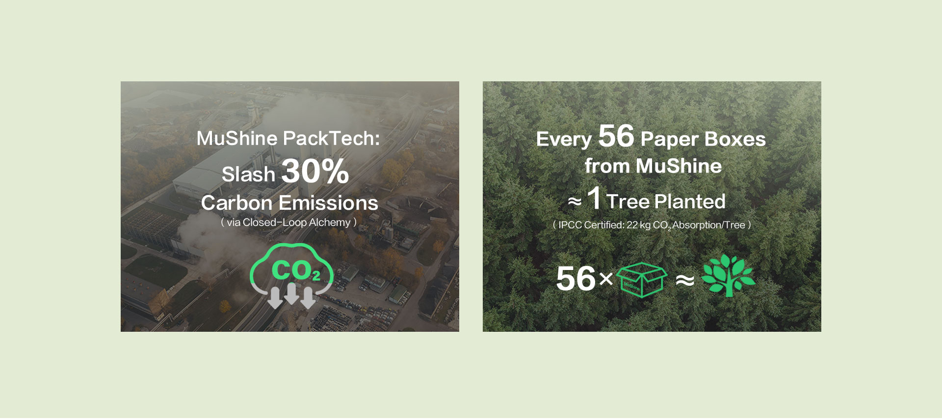 MuShine environmental impact statement